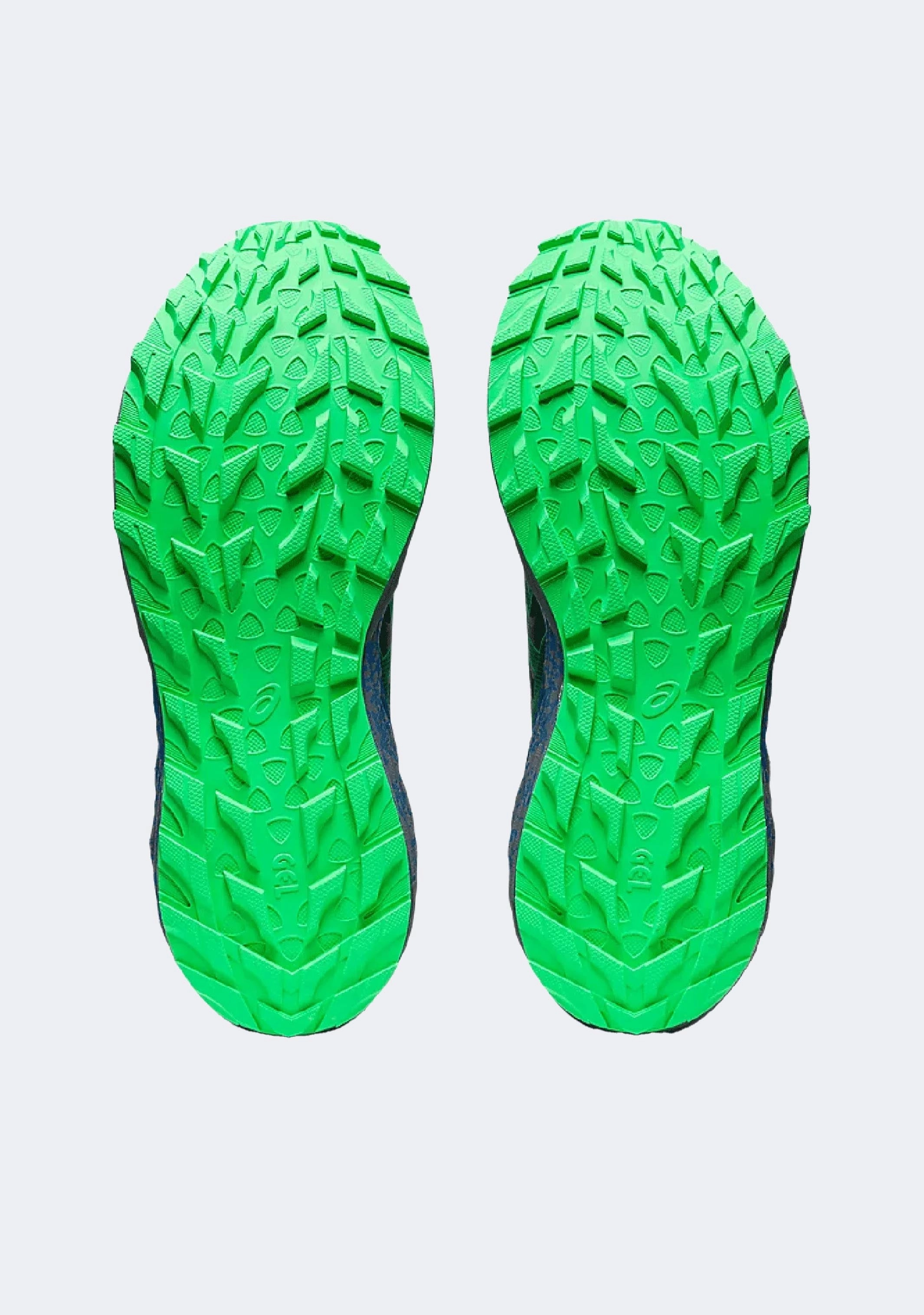Asics Men's Gel Trabuco Terra