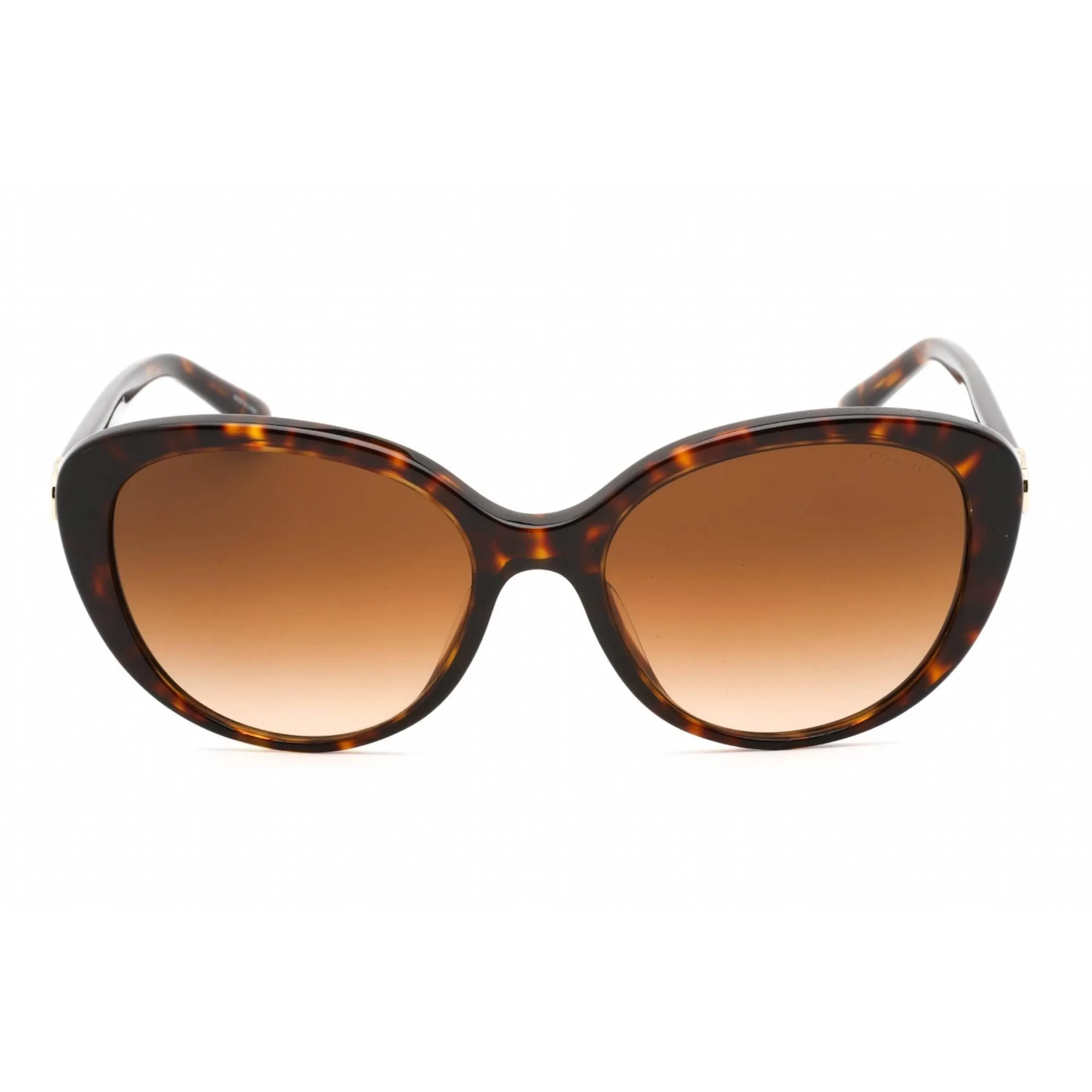 Coach Women's Sunglasses - Dark Havana Plastic Cat Eye Shape Frame | 0HC8348U 512074