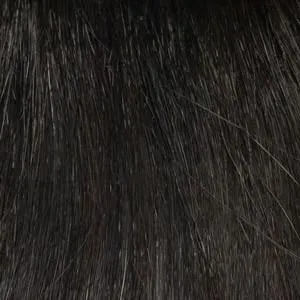 Elle Wig by Envy | Synthetic (Traditional Cap) | Clearance Sale