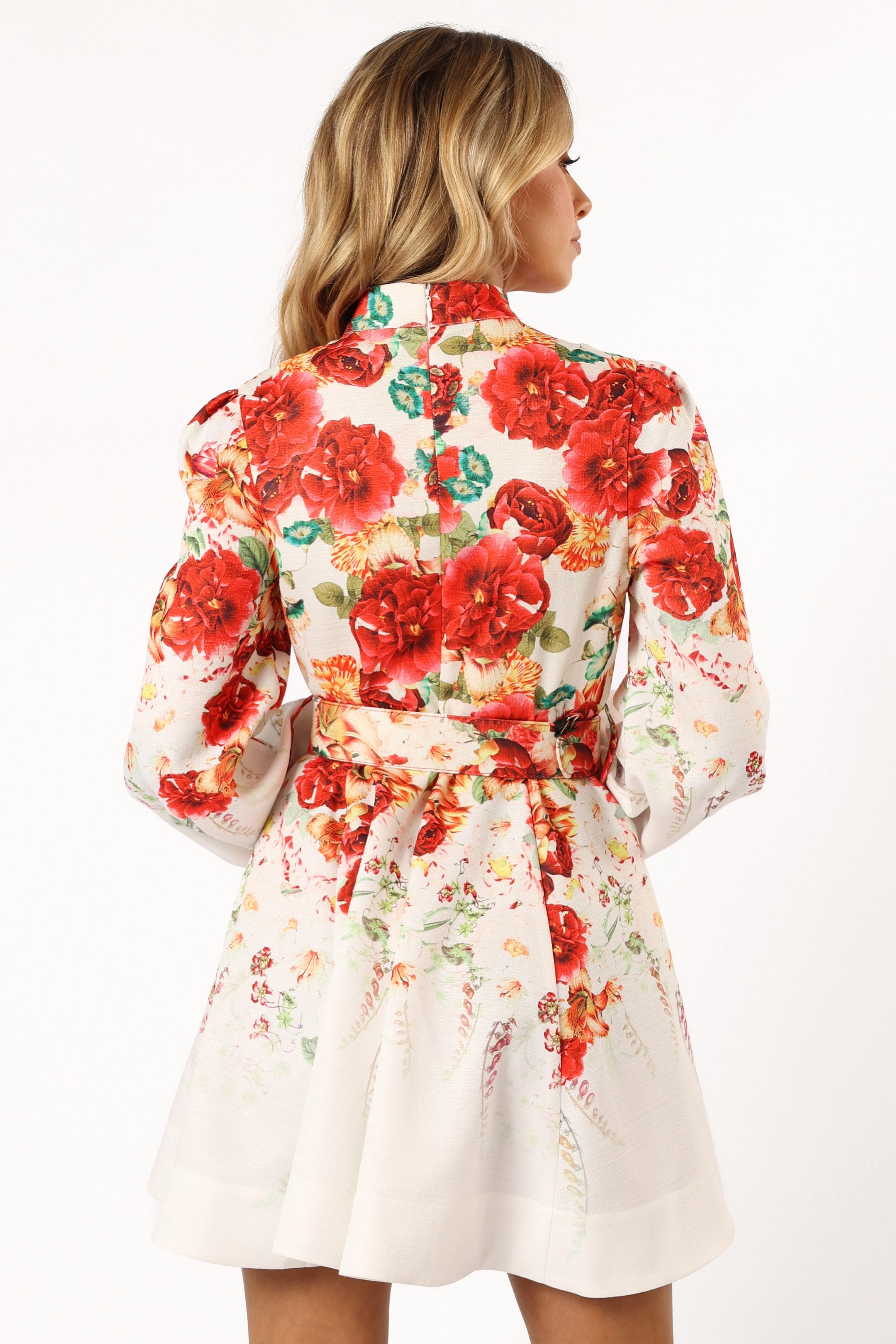 Pipps Longsleeve Mini Dress - Multi