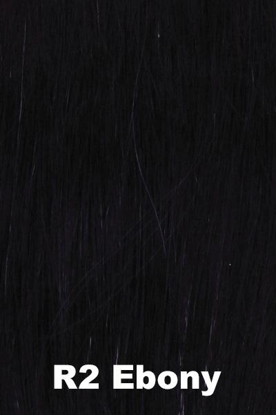 Raquel Welch Wigs - Salsa