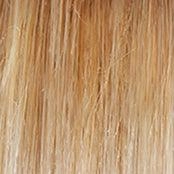 Soft and Subtle Average/Large Wig by Gabor | Synthetic (Lace Front Mono Part)
