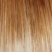 Soft and Subtle Average/Large Wig by Gabor | Synthetic (Lace Front Mono Part)