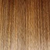 Sweet Talk Luxury Wig by Gabor | Synthetic Lace Front (Hand-Tied Top)