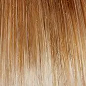 Sweet Talk Luxury Wig by Gabor | Synthetic Lace Front (Hand-Tied Top)